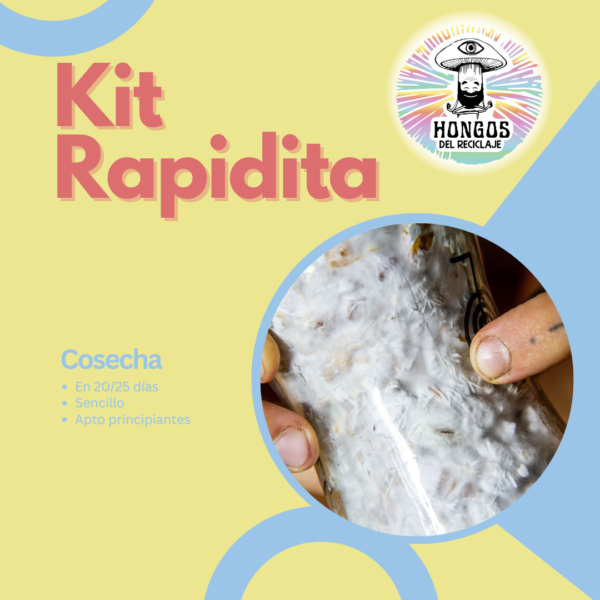 KIT RAPIDITA FUNGI