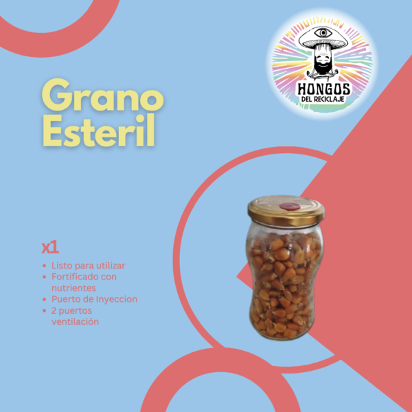 GRANO ESTERIL