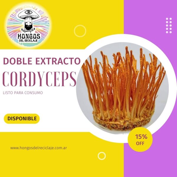 Doble extracto Cordyceps
